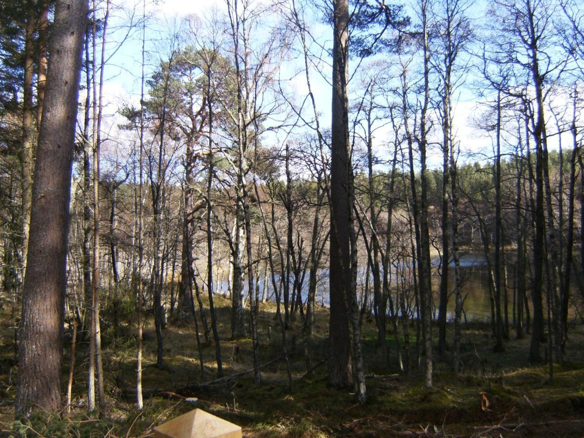 Cairngorm Lodges 애보인 외부 사진
