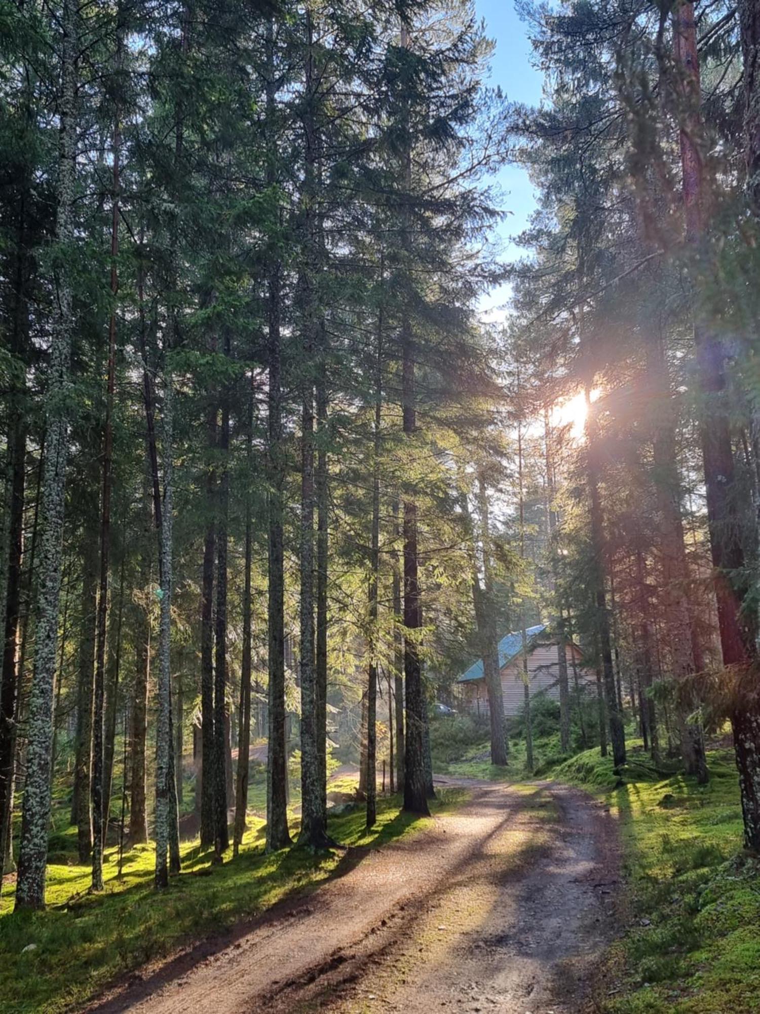 Cairngorm Lodges 애보인 외부 사진