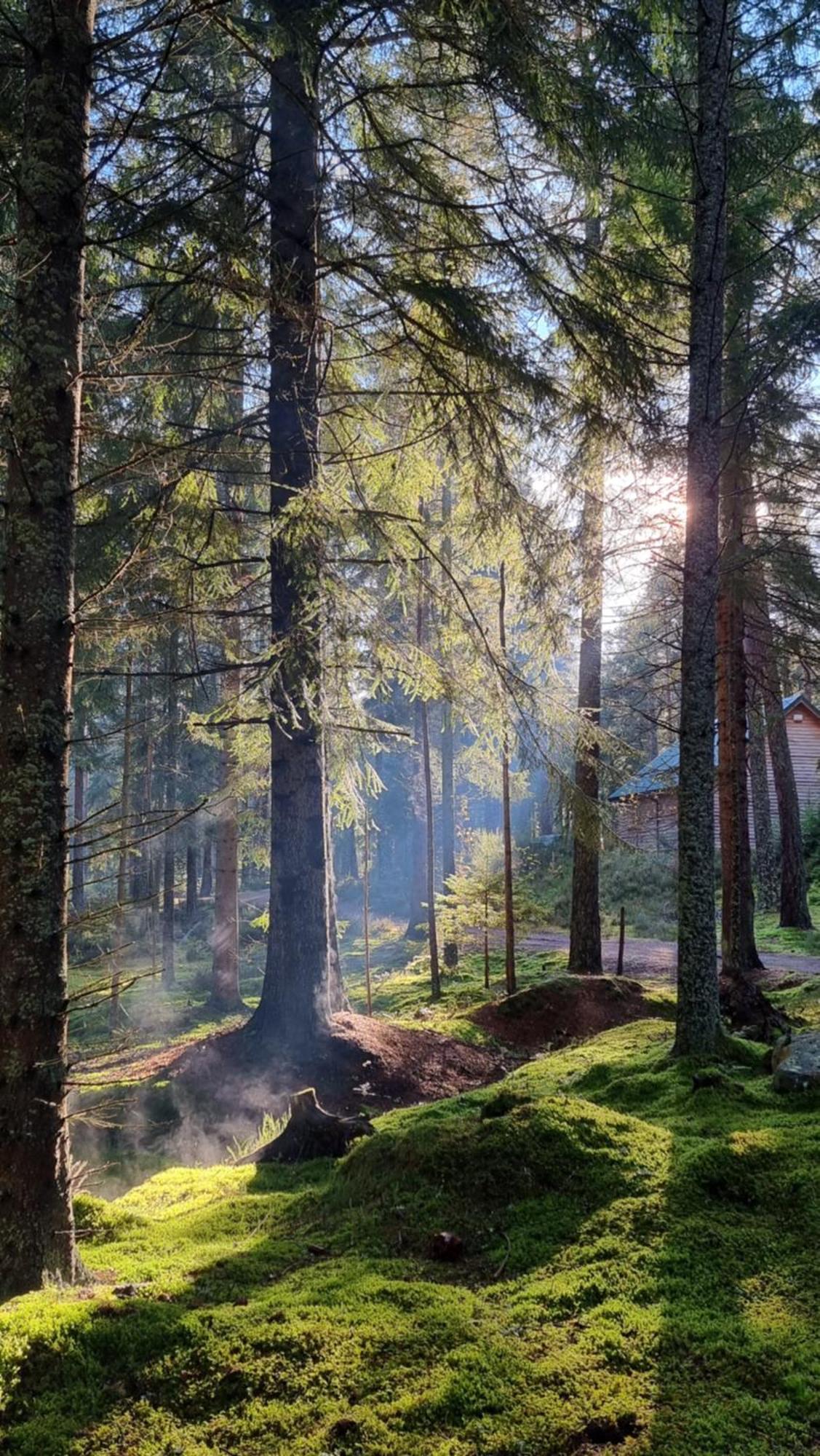 Cairngorm Lodges 애보인 외부 사진